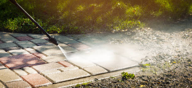 Best Gutter Cleaning  in Martinsvle, IL